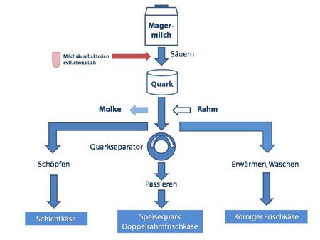 Prozess der Frischkaeseherstellung in der Molkerei, schematische Darstellung