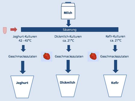 Schematische Darstellung der Herstellung der verschiedenen Sauermilchprodukte Joghurt, Kefr und Dickmilch