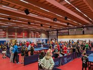 Milchcup-Turnier: Finale 2025