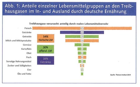 Abbildung zeigt den Anteil der einzelnen Lebensmittelgruppen an den Treibhausgasen