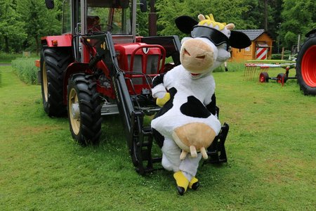 Kuh Lotte, das NRW Milchmaskottchen vor einem Traktor