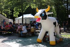 Aufblasbare Kuh zum Wettmelken