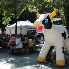 Aufblasbare Kuh zum Wettmelken