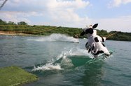 Raus aufs Wasser - Wasseskianlage auf dem Tuttenbrocksee