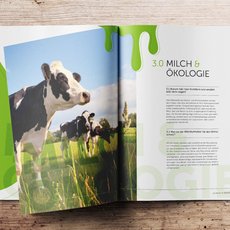 Muster der Innenansicht der Broschüre Dialogmacher