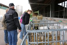 Landwirt Dahmen erklärt die Käberaufzucht