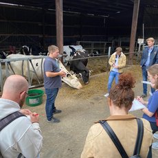 Volontaere auf dem Hof