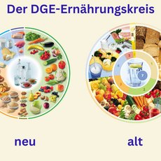 Gegenüberstellung des alten und neuen DGE-Ernährungskreises