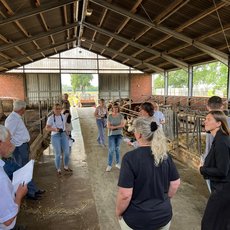 Stall des Schauhofes Zens bei der Hofbsichtigung