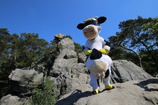 Lotte vor dem Steinbild des hockenden Weibes