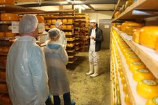 Regale mit Käse im Lagerraum