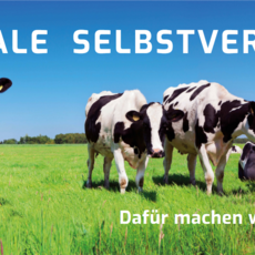 Selbstversorger Kühe auf der Weide für Hofbanner