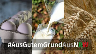 Logobild des Projekts AusGutemGrundAusNRW