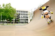 Skaten im Skaterpark Bielefeld