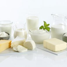 Käse, Butter, Milch und weitere Milchprodukte angeordnet auf einer weißen Fläche