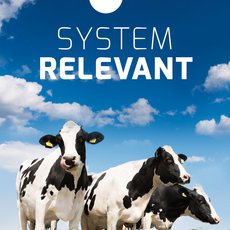 Hofplakat Systemrelevant