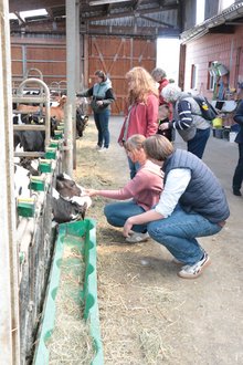 Gruppe von Lehrern im Kälberstall
