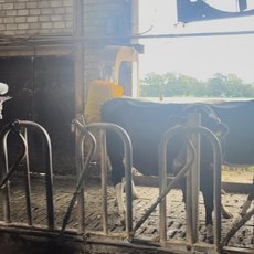 Filmteam beim Dreh im Stall