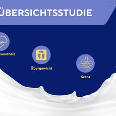 Grafik zur Kern-Studie
