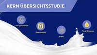 Grafik zur Kern-Studie