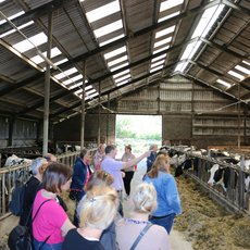 Landwirt Leuchtenberg erläutert Lehrern die Milchviehhaltung