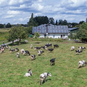 Blick auf eine Bauernhof von oben