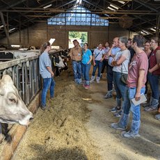 Hofführung auf dem Hof Hielschdr