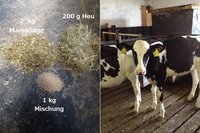 Luise - 4 Monate alt, Futtermengen pro Tag