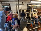 Besucher im Melkstand der Familie Greshake auf Gut Hixholz