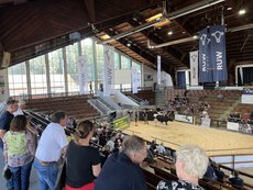 Blick in die Manege bei der Zuchtviehauktion in Krefeld