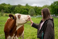 Tammy Uhlinsky mit Kuh auf der Weide