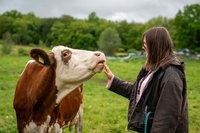 Tammy Uhlinsky mit Kuh auf der Weide