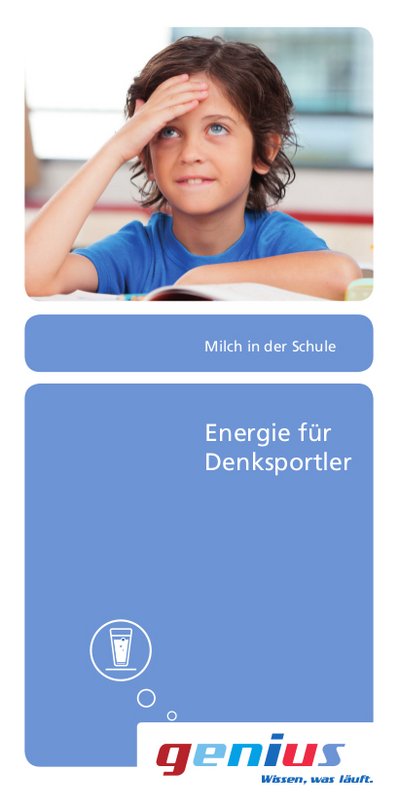 Broschüre 'Energie für Denksportler'