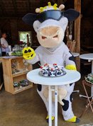 Lotte präsentiert die Milchshakes 