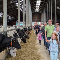 Besucher im Stall vom Hof Speckmann-Wortmann