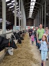 Besucher im Stall vom Hof Speckmann-Wortmann