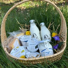 Korb mit Milchprodukten als Hauptgewinn