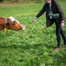 Annäherung an eine Kuh: Agrarbloggerin Pauline Krämer 