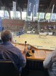 Auktion der Zuchtrinder aus der Sicht des Auktionators