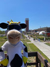 Lotte, das NRW-Milchmaskottchen, zu Besuch auf der Landesgartenschau 2020 in Kamp-Lintfort