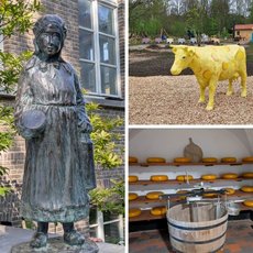 Collage aus drei Bildern zur Ankündigung des Maria Reymer-Tages auf der LAGA in Neuss