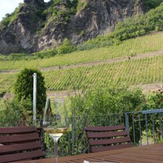 Wein und Käse aus dem Rhein-Sieg-Kreis am Fuße des Drachenfels