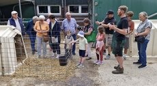 Teilnehmer der Hofbesichtigung am Kälberstall