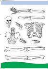 Ausschneidebogen zum Basteln eines Skeletts