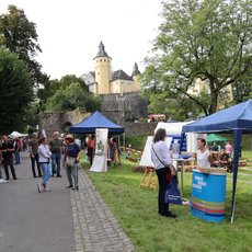 Das Aktionsgelände bei Schloß Homburg