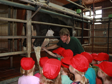 Joseph Rüping melkt mit Lambertusschülern eine Kuh.