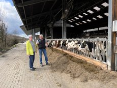 Hans Stöcker beim Interview vor seinen Kühen im Stall