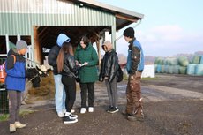 Schüler lernen in Kleingruppen Arbeitsbereiche auf einem Milchviehbetrieb kennen