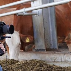 Webinar Ankündigung Milk Fluencer