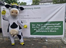 Kuh Lotte vor dem Banner zum Tag der Landwirtschaft
